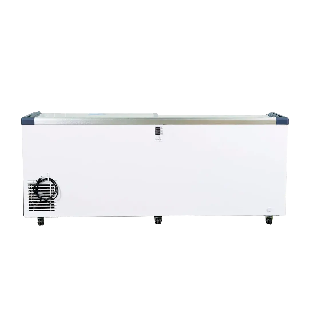 FREEZER TAPA VIDRIO 720 LTS. 220V/50Hz - Imagen 2